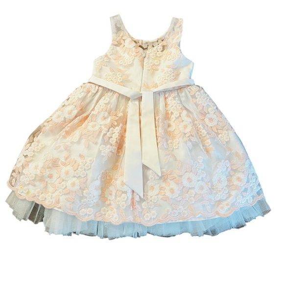American Princess Floral Dress Size 2T White and Pastel Pink Floral Overlay - Picture 2 of 14